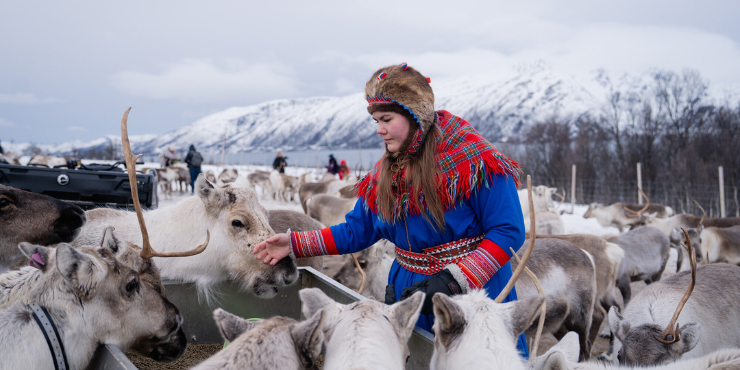 Люди тундры: кто такие саамы? Происхождение, культура и традиции