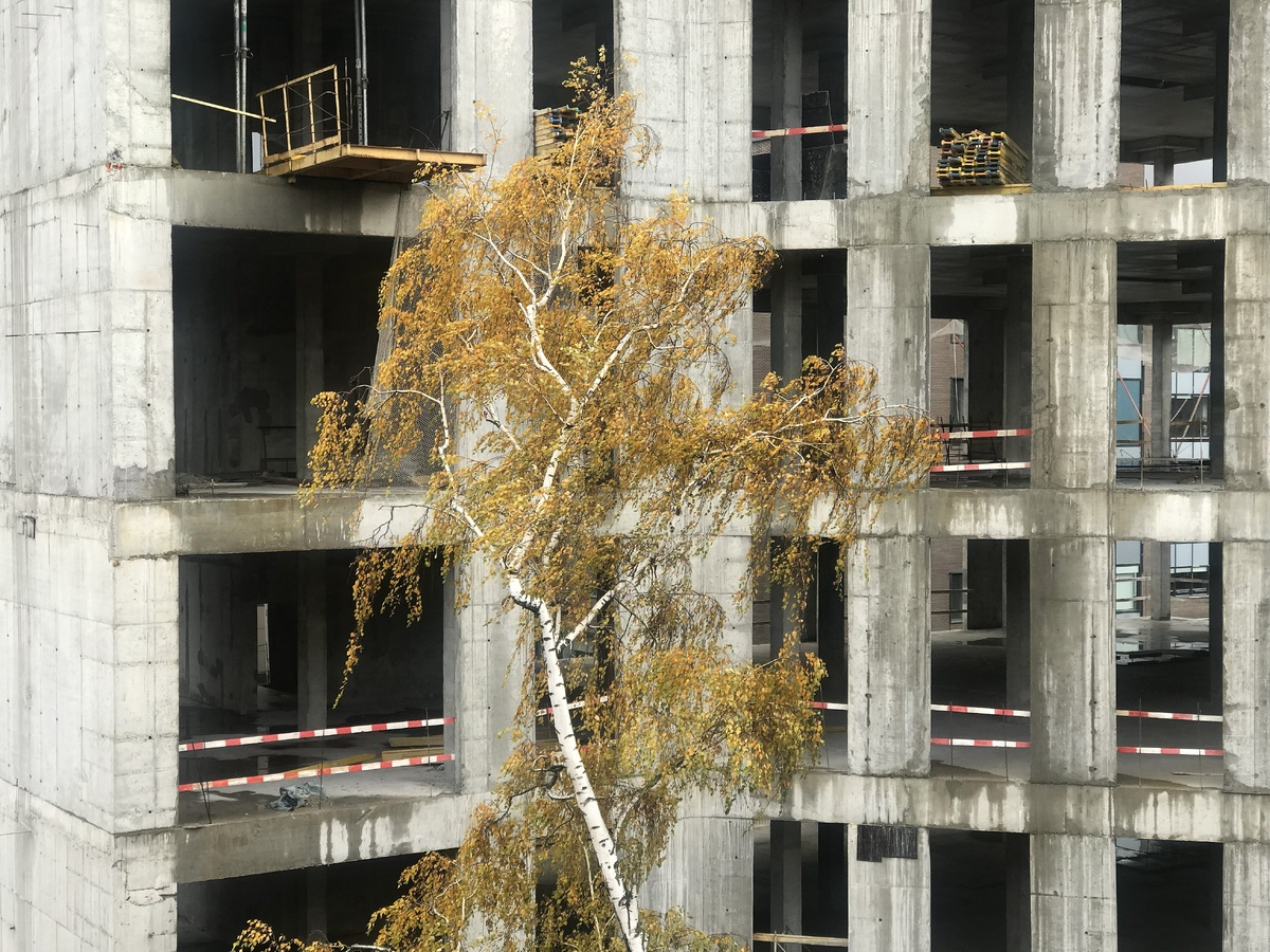 Неземная красота? Фотография С.П. Якуцени ©