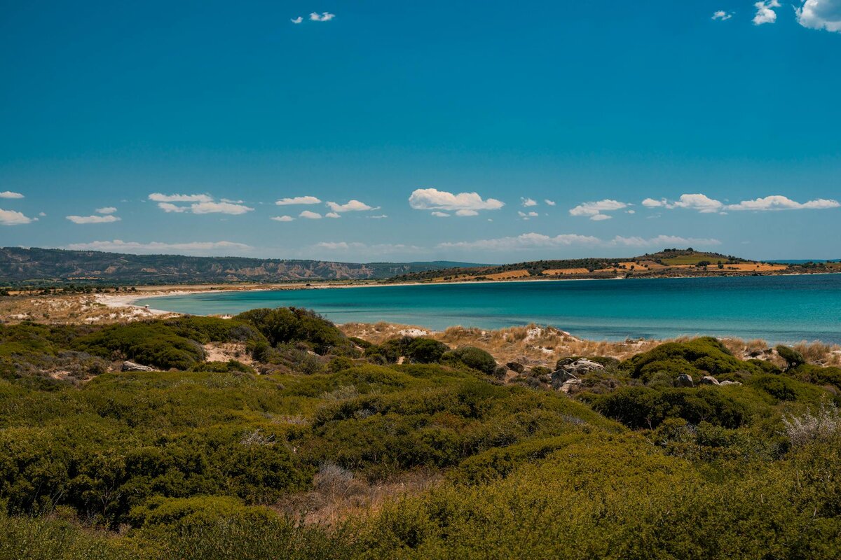 В Турции разнообразная природа: горы, реки, много зелени, а кроме пальм растут сосны и другие деревья. Фото: Pexels