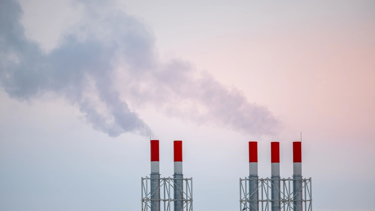    Фото: Юлия Чудинова / «Ямал-Медиа»