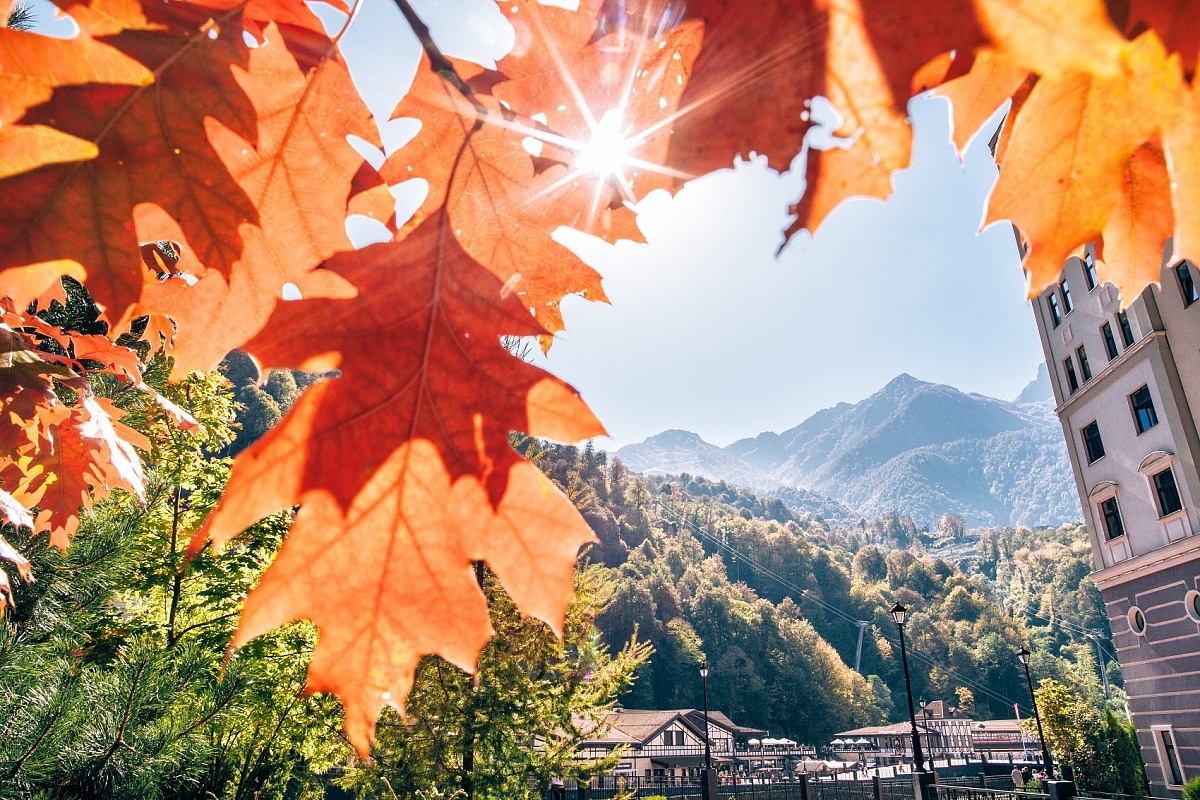    Фото: пресс-служба администрации города Сочи