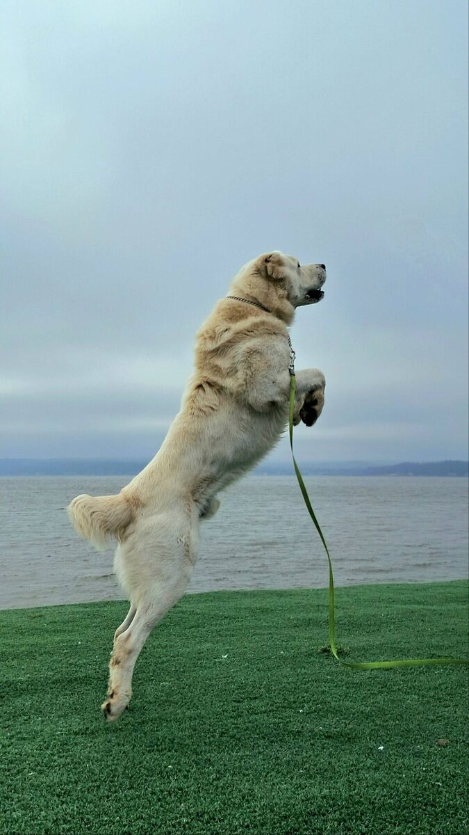 Фото: max.ru/rustamminnikhanov