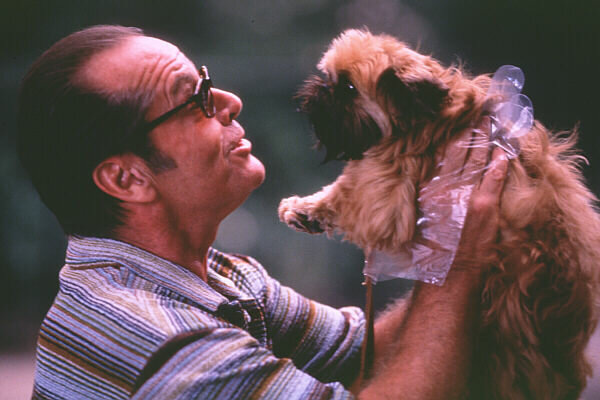 Мелвин, человек с трудным характером, учится заботе - и всё начинается с маленькой собаки, (источник: kinopoisk.ru)