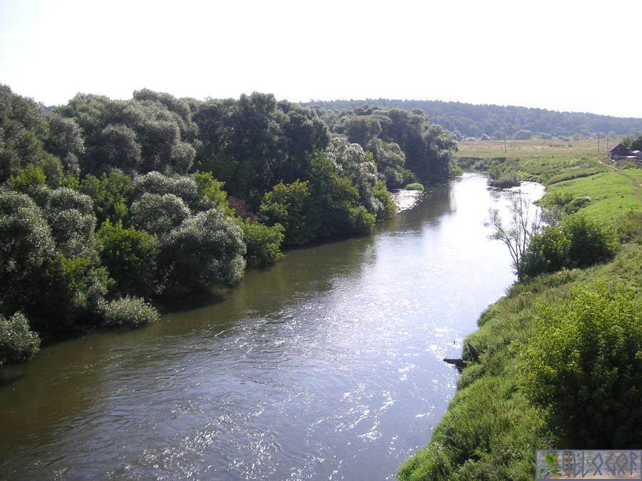 Река Протва, село Оболенское