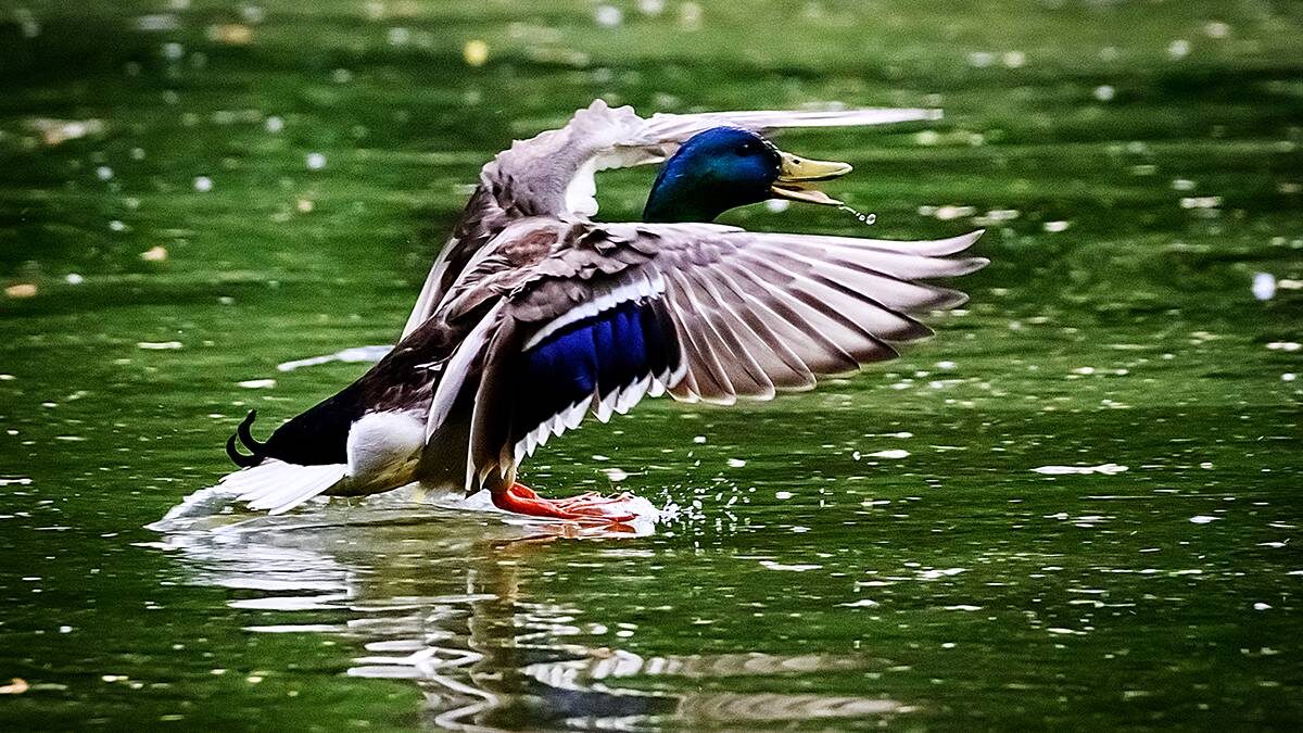    Фото: Дмитрий Дубинский / Вечерняя Москва