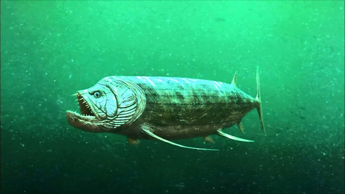 Жуткая рыба - бульдог