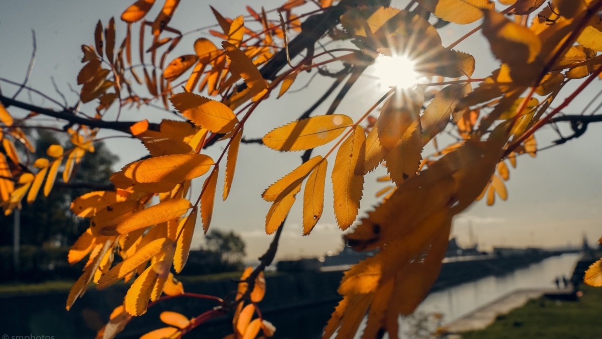 Фото: Светлана Мулыкина📷
