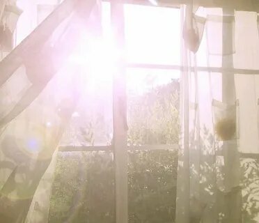 Фото из открытого источника Интернета