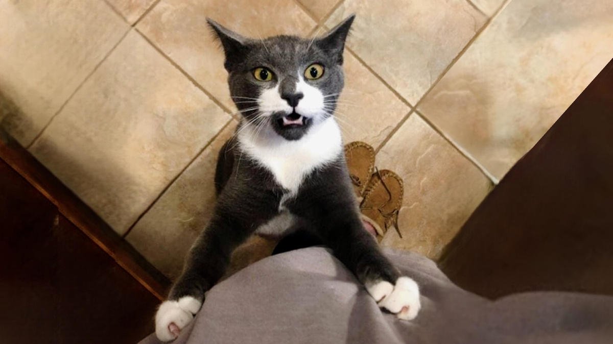 Ты где был?! 