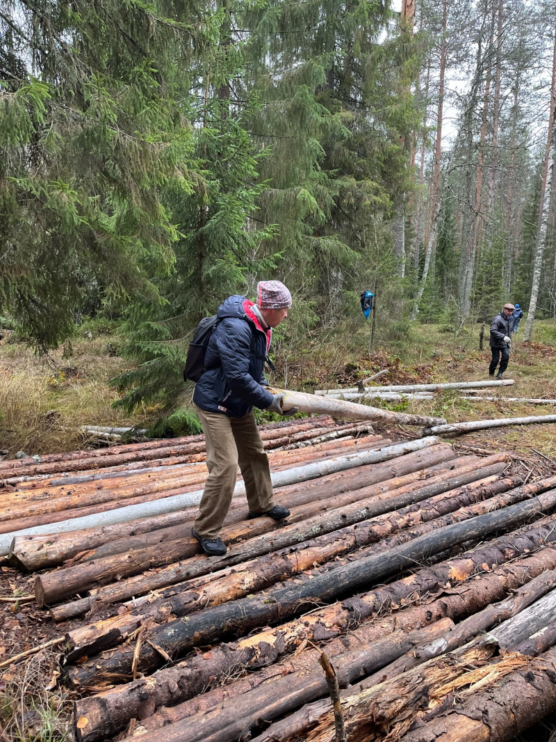    Новый мост сделали энтузиасты на лыжной трассе в ПетрозаводскеТрасса Фонтаны Петрозаводск