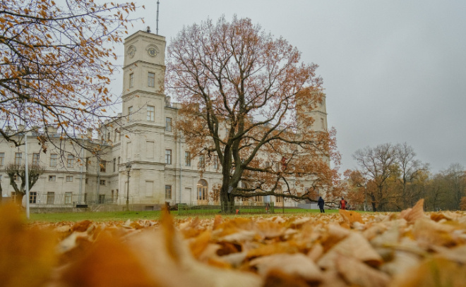    © t.me/gatchina_palace