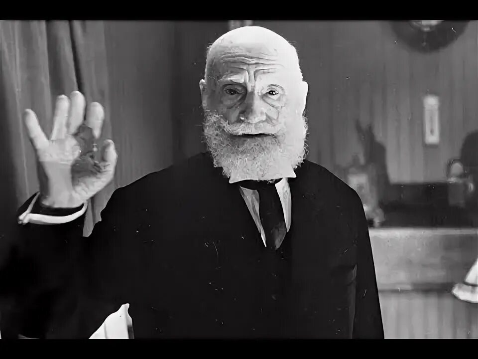 В. Шульгин (фото из свободного доступа в интернете)