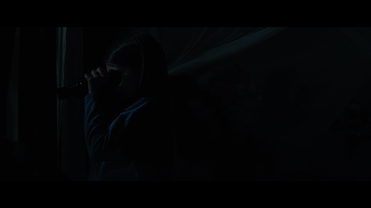 Кадр из фильма Чужие против Хищника: Реквием (2007)