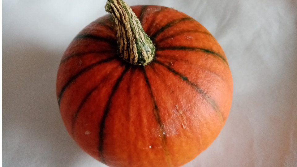 Тыква для фарширования