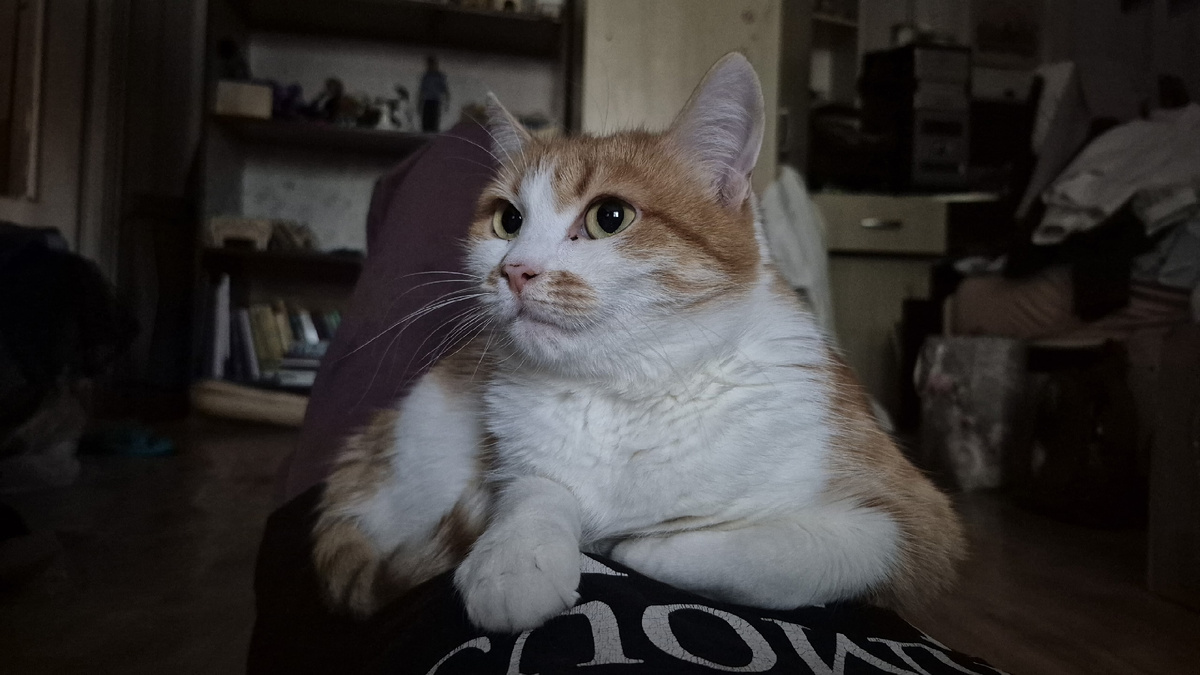 зарядку сделать невозможно