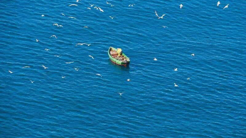    Фото: Azovsky/Shutterstock/Fotodom