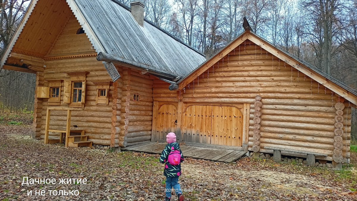 Фото автора. Изба Салтыковой