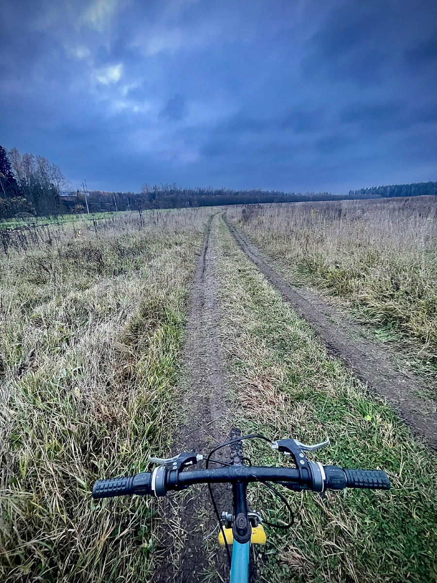 Осенняя погода богата на хмурое небо, однако пейзажи завораживают. Жаль, что поля стоят не кошенными())
