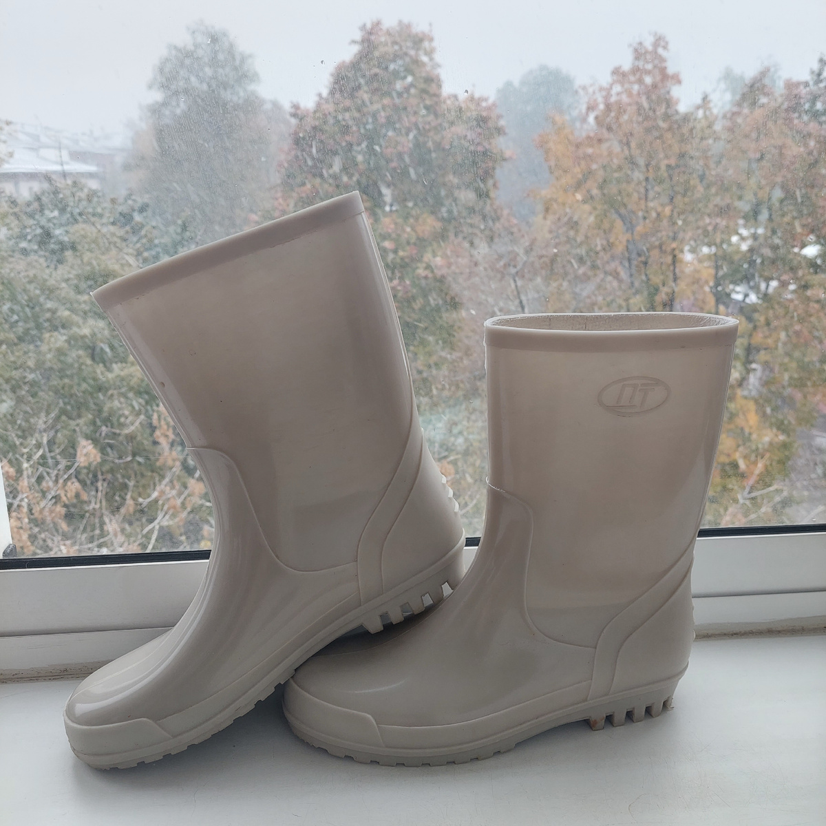 Фото автора.