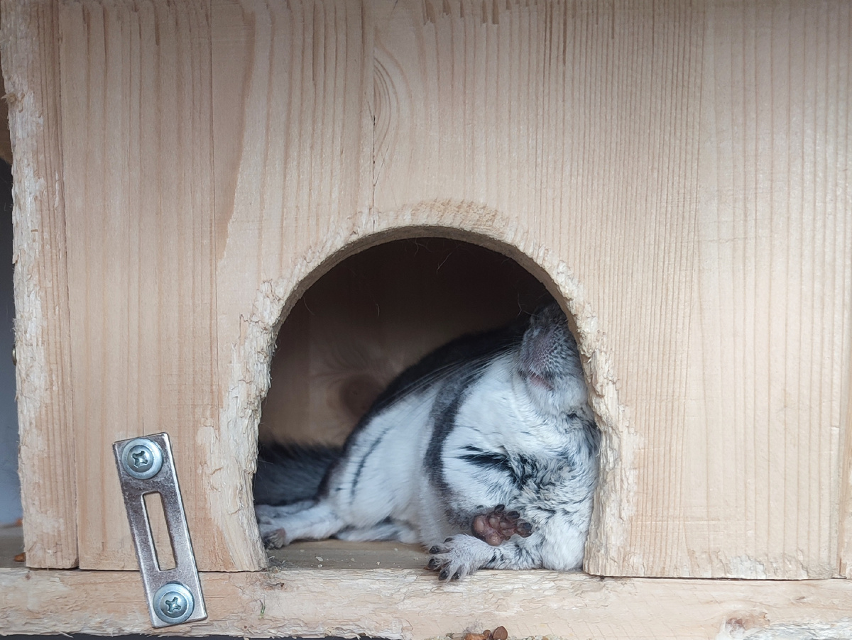 В ожидании внимания :) 