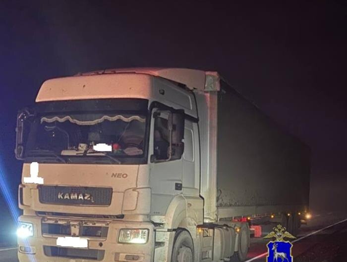    ФОТО: ГУ МВД по Самарской области