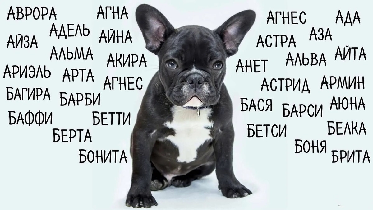 Фотография из интернета