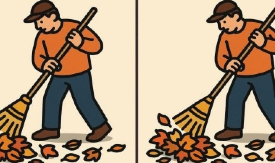 Между дворниками есть 3 отличия. Сможете найти их за 14 секунд?