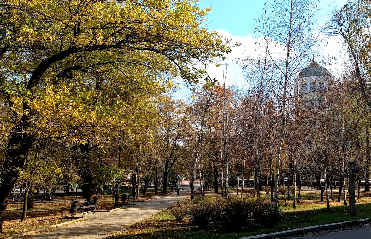 Осень в Донецке 2025