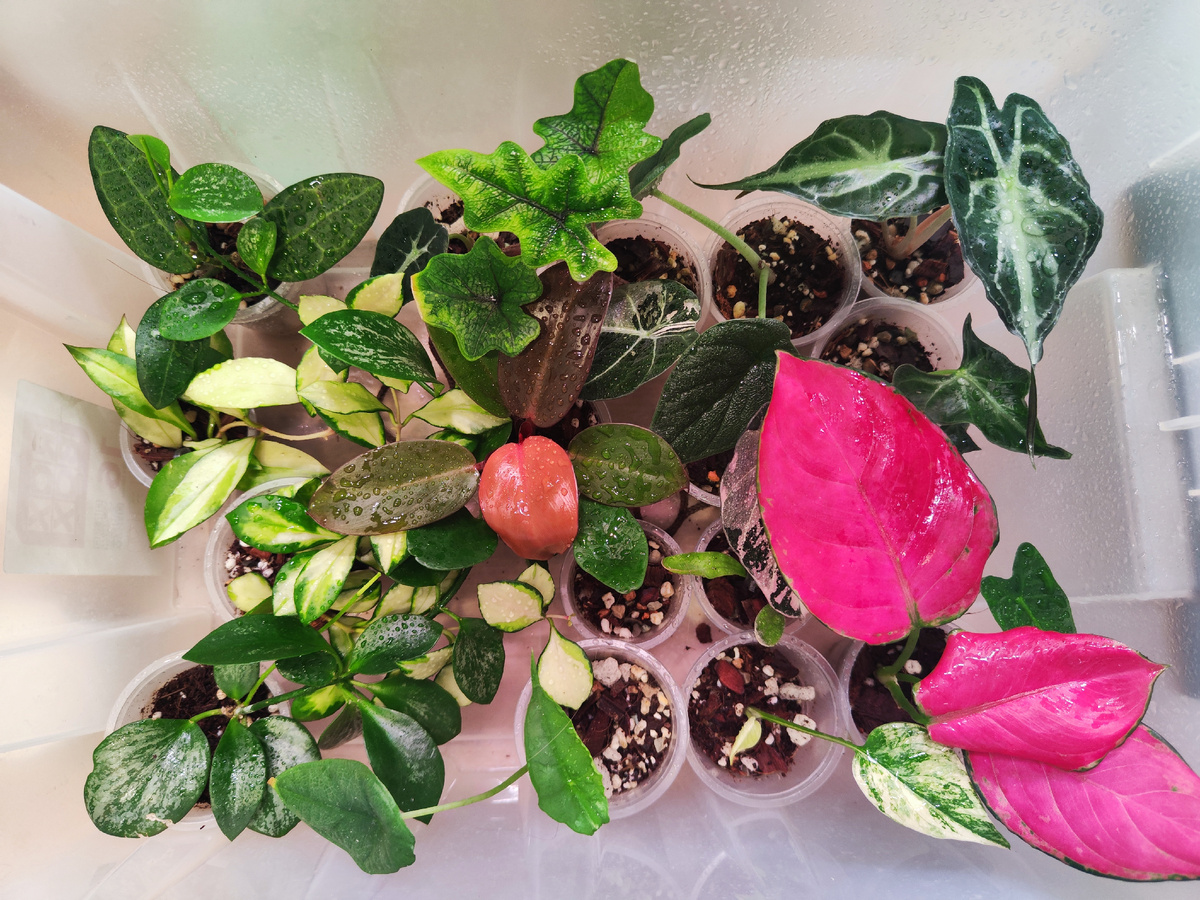 Малыши в спа