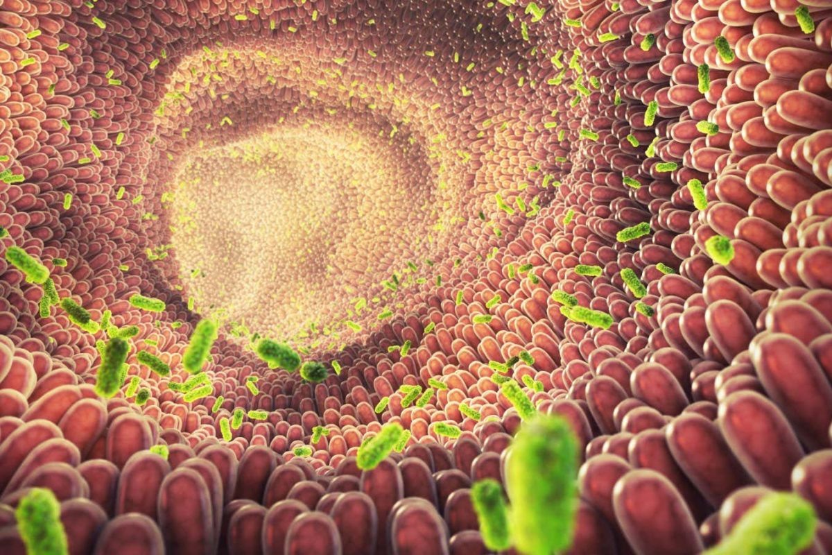 Из интернета