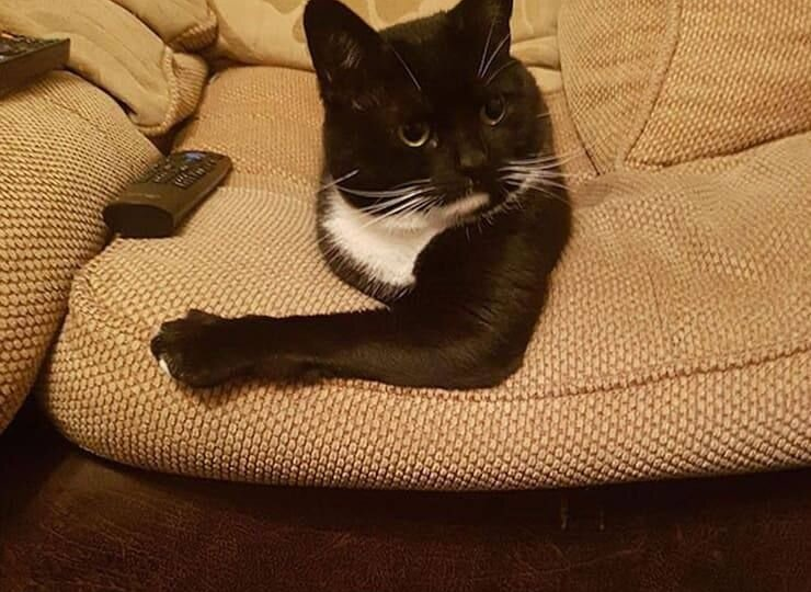 Показалось: 27 смешных фото, на которые стоит взглянуть дважды, чтобы понять, а что тут происходит?