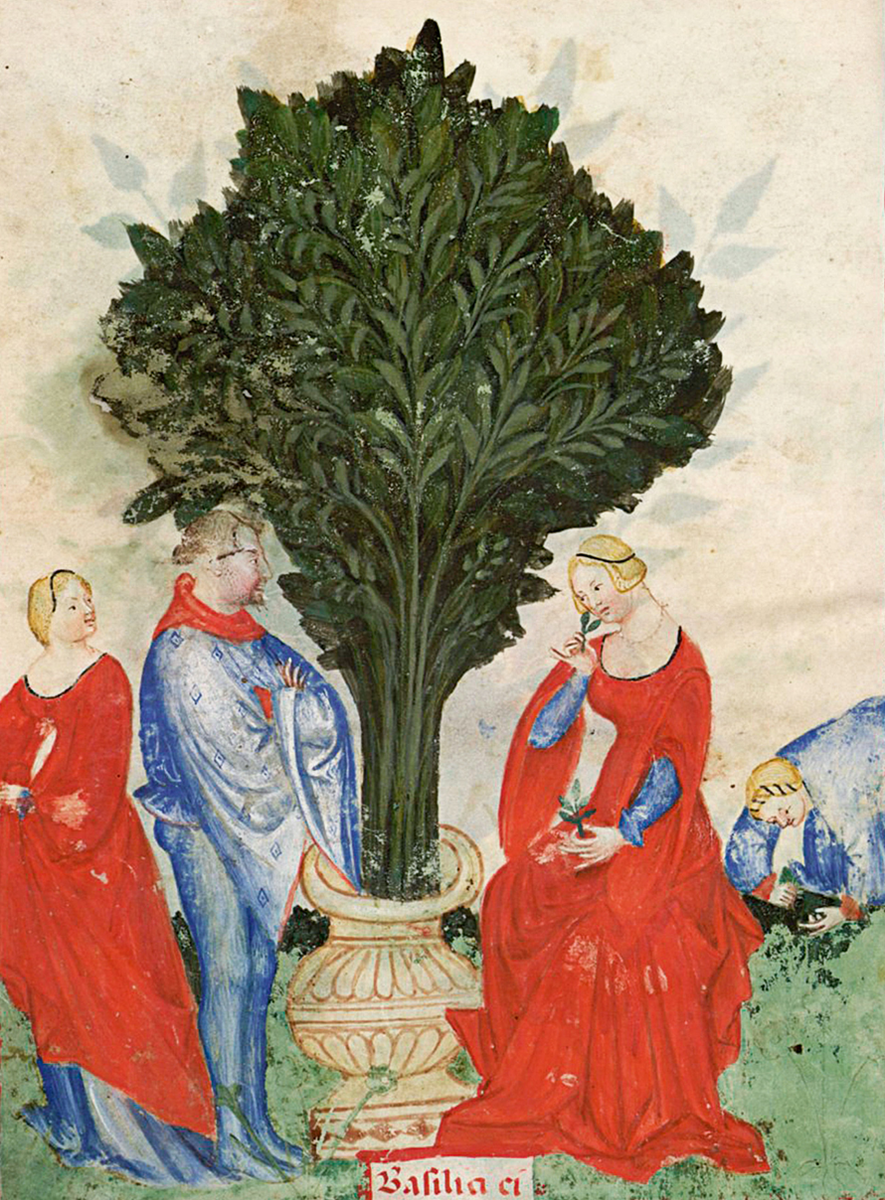 Элегантные молодые женщины, одетые в красный
Даже когда в Италии XIV века стали популярны синие и черные цвета, красное платье по-прежнему считалось эталоном красоты. Для девушек этот оттенок символизировал элегантность, любовь и привлекательность. Красный был традиционным выбором для торжественных и радостных событий, и часто именно в таком платье выходили замуж.
Миланская рукопись Tacuinum sanitatis, скопированная и написанная в конце XIV века, ок. 1390-1400 гг. Париж, Национальная библиотека Франции, новая латинская рукопись приобретений 1673, фолио 22v.