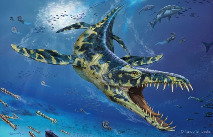   Лиоплевродон