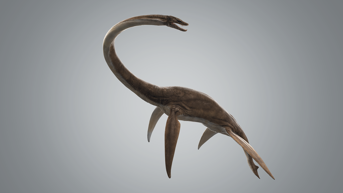 Плезиозавры