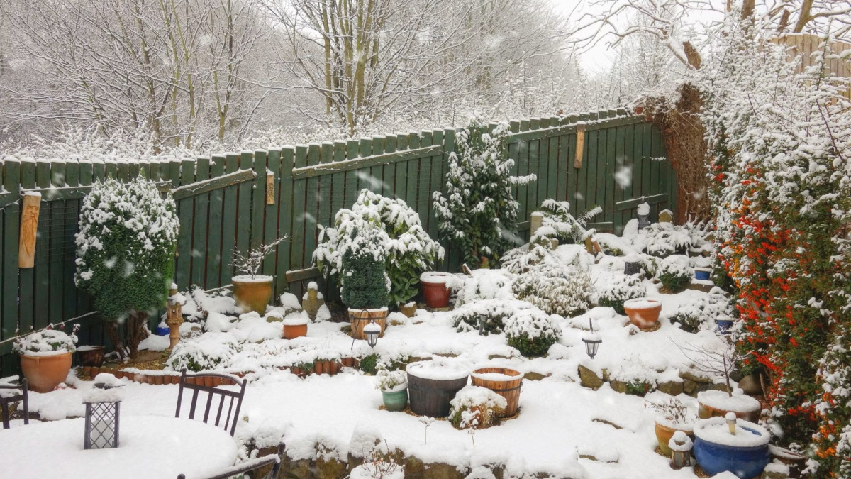 Семь важных шагов для подготовки сада и огорода к зиме: что нужно сделать в ноябре