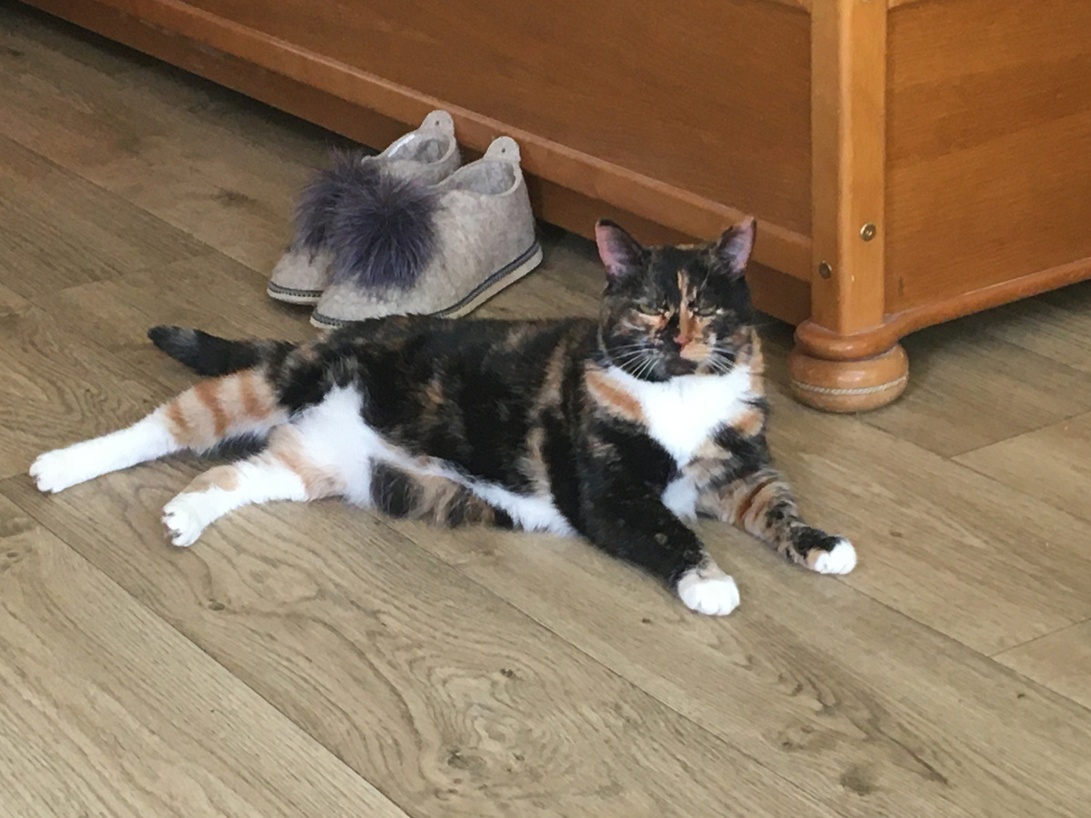 Фото автора