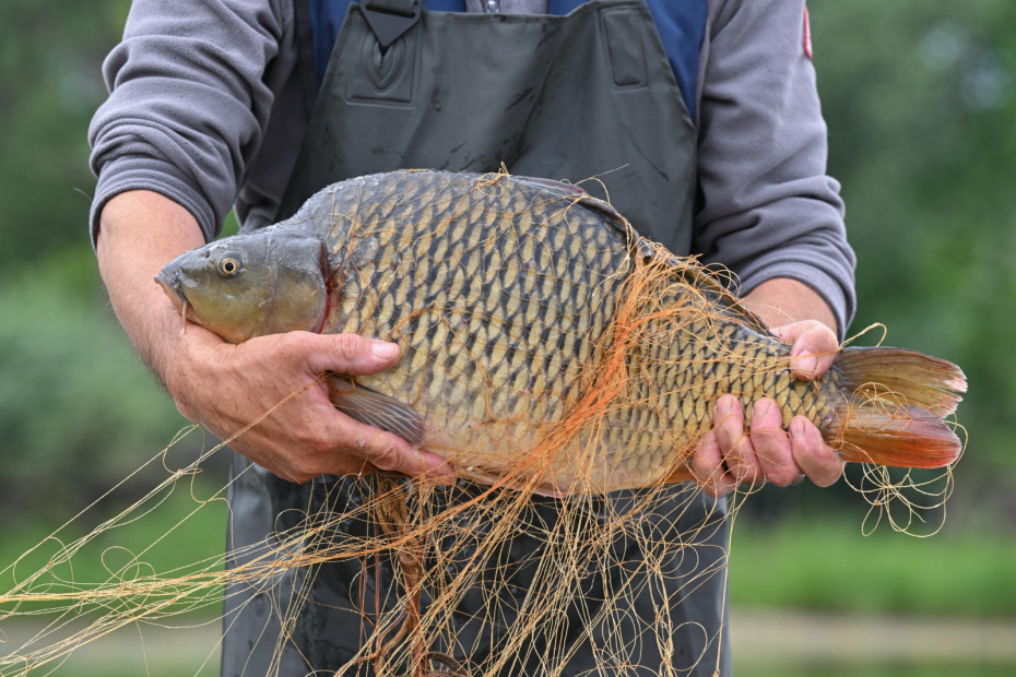    Patrick Pleul/dpa/Global Look Press