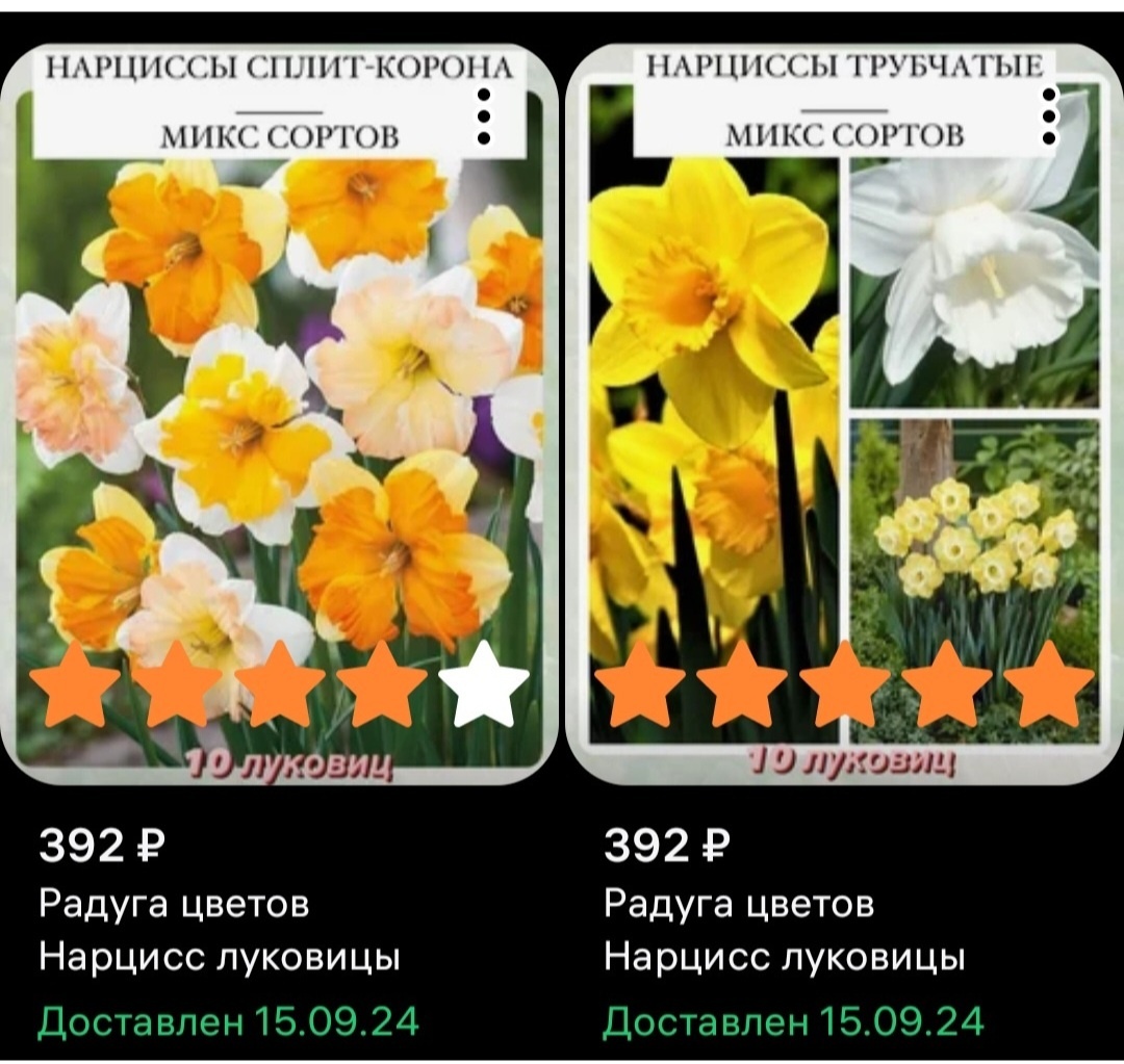 Осень 2024 года. Фото: Зеленая леди, сад, семья и томатный сок 