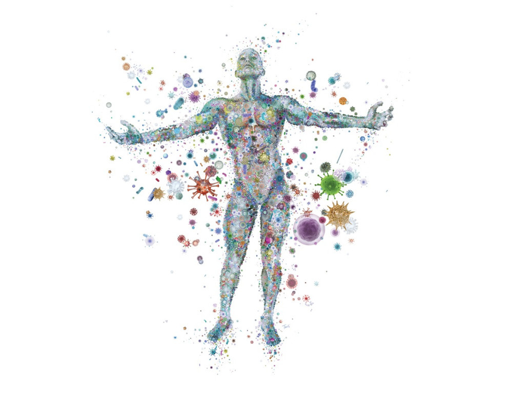 Из интенета