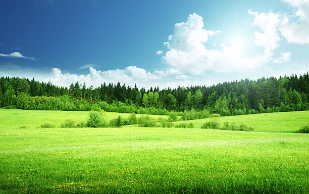 Просторы (фото из свободного доступа)