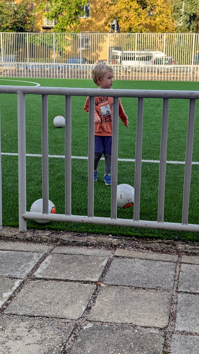 Первые тренировки