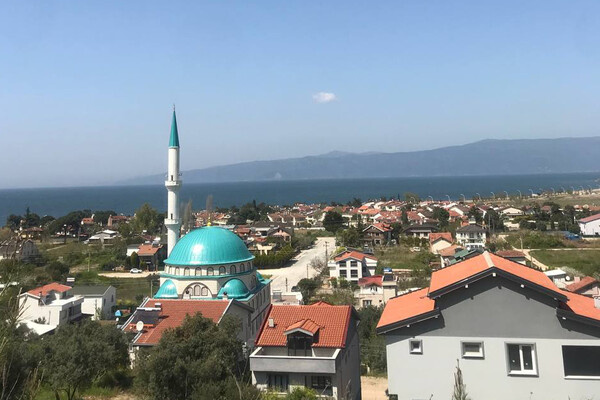    Из личного архива Миланы М.