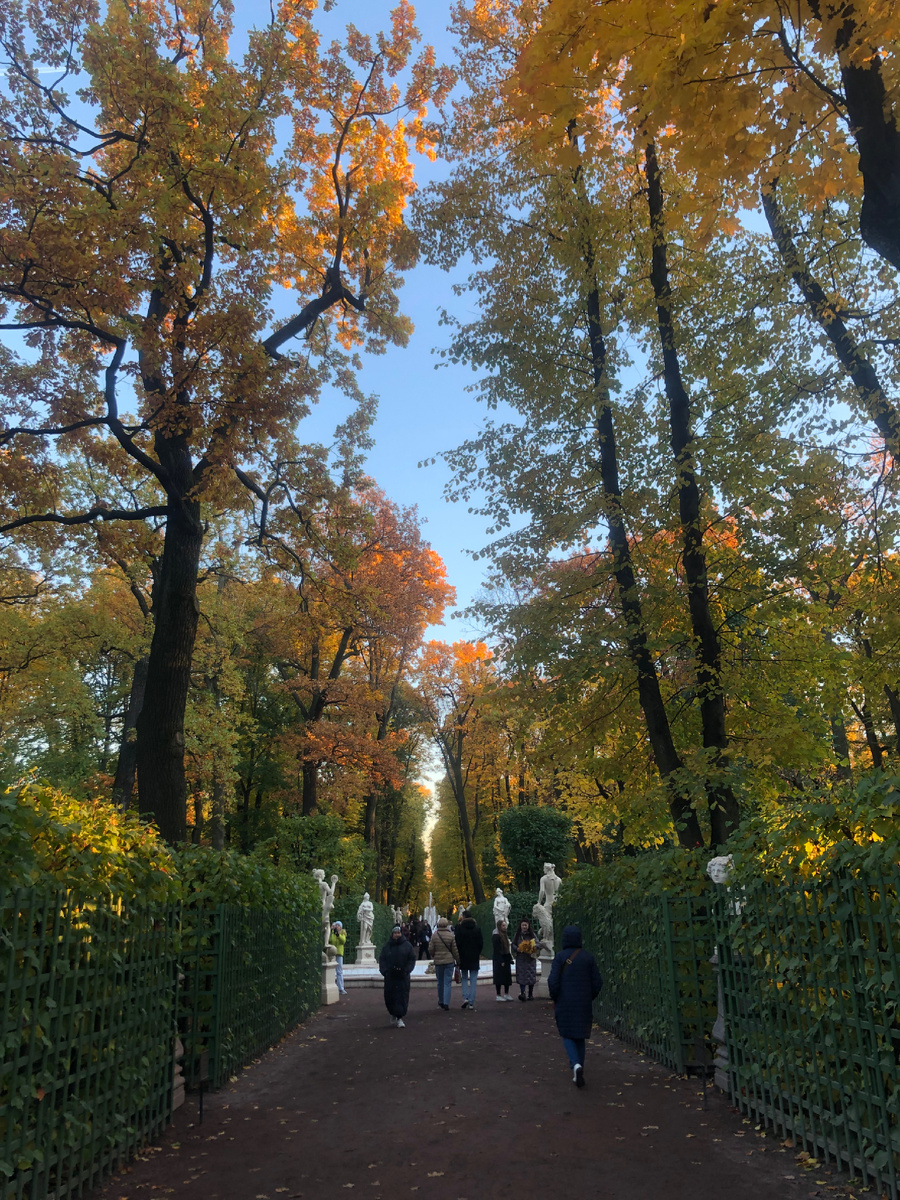 #летнийсадспб #золотаяосень #местадляфотосессий  #уютныепрогулки  #питерсезон #атмосферагорода  #любимыйгород #осеньвславии 