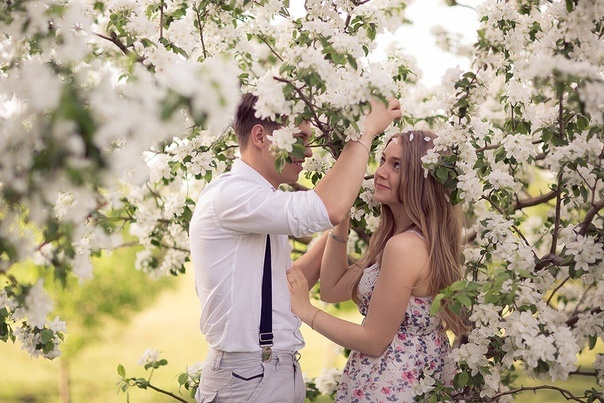 картинка из интернета