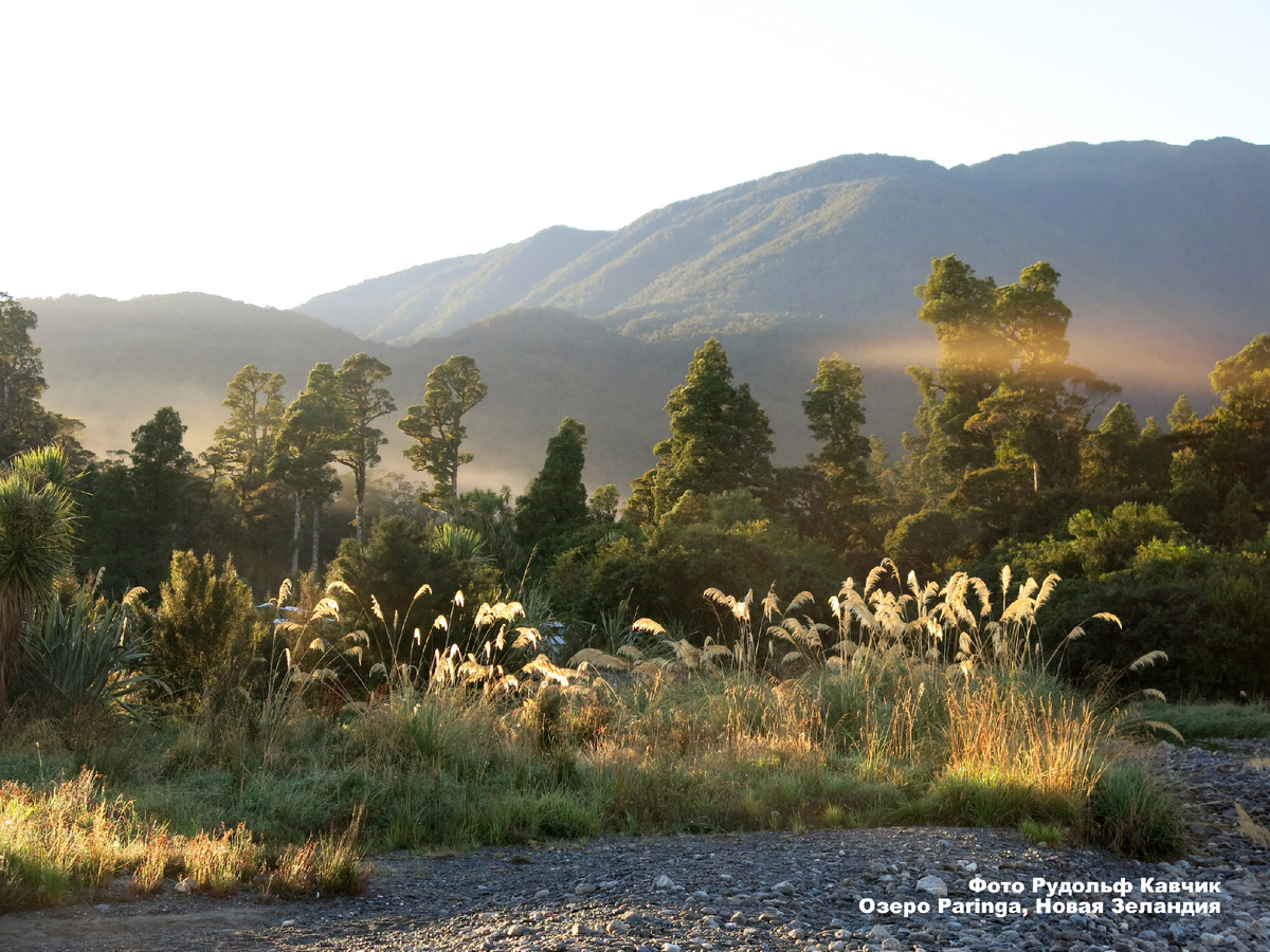 Берег озера Paringa. Фото автора.