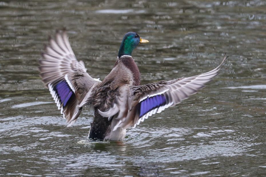    Сергей Булкин/NEWS.ru