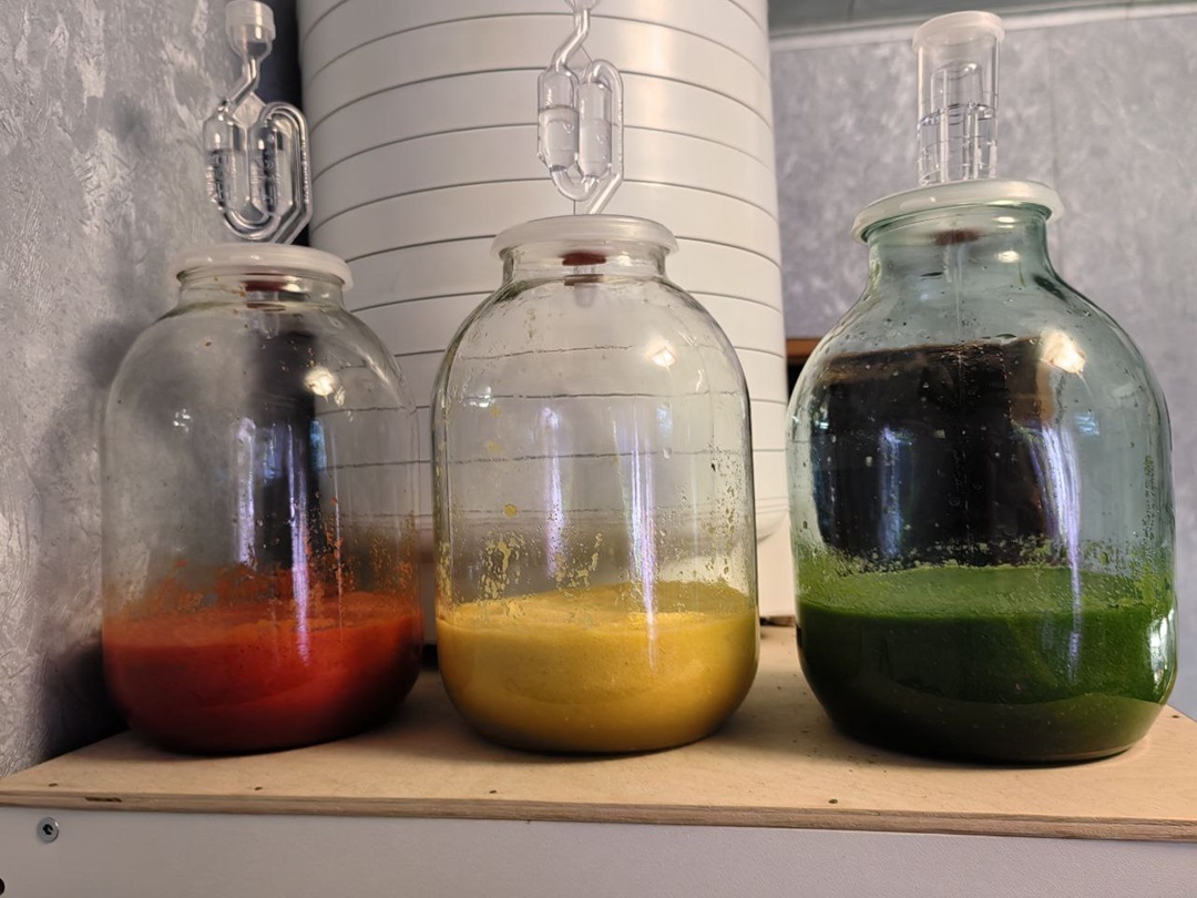 Шрирача Ферментация 1 день