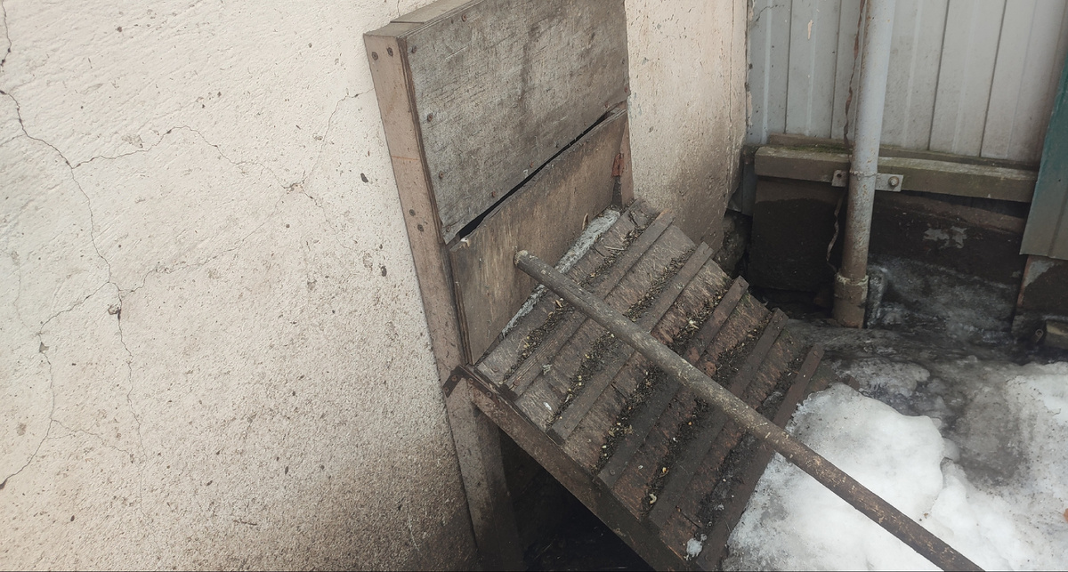 Лаз закрыла и утеплила. Теперь его открою только весной. 