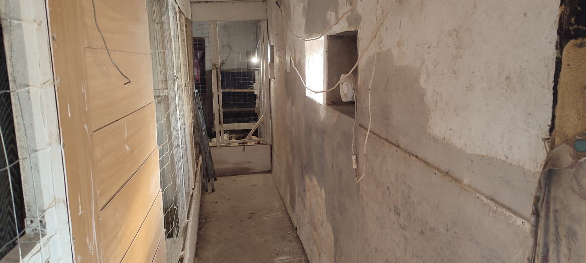 Сегодня побелила на черновую. Как только высохнет, побелю на второй раз