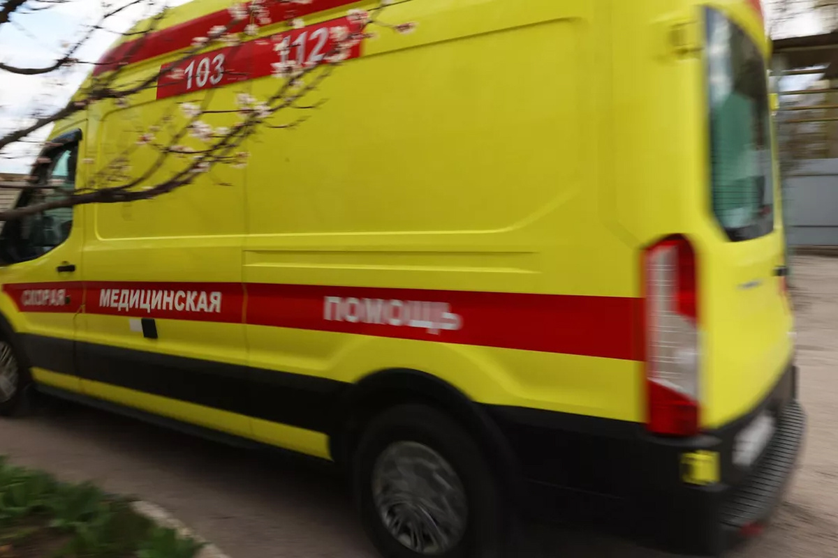    Фото: Антон Вергун, источник: ria.ru